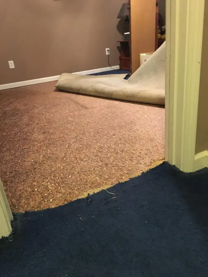 Carpet pad removal revealing water damage during Drying & Dehumidification in Massac