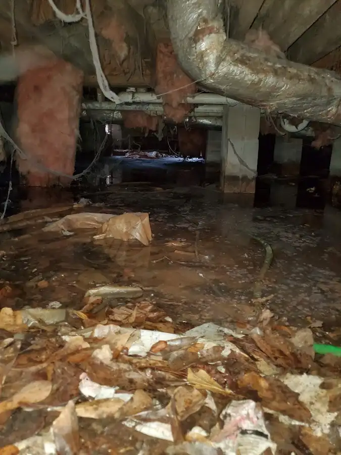 Crawl space flood assessment for Commercial Water Damage Restoration in Massac