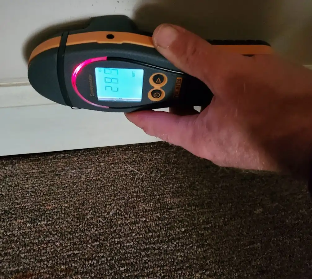 Moisture detection at baseboard during Sewage Cleanup & Sanitation in Massac